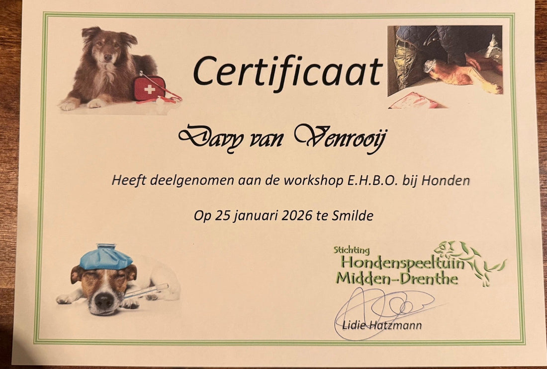 EHBO voor honden