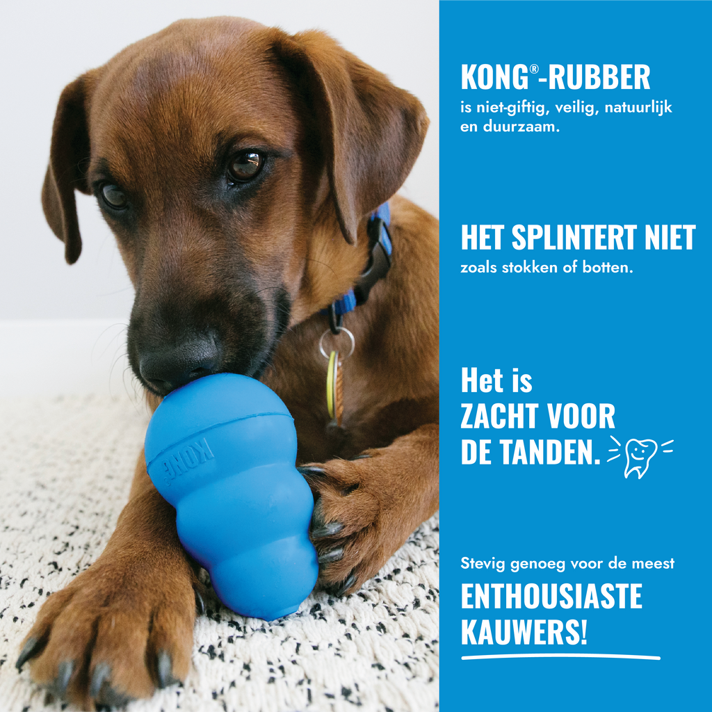KONG Puppy
