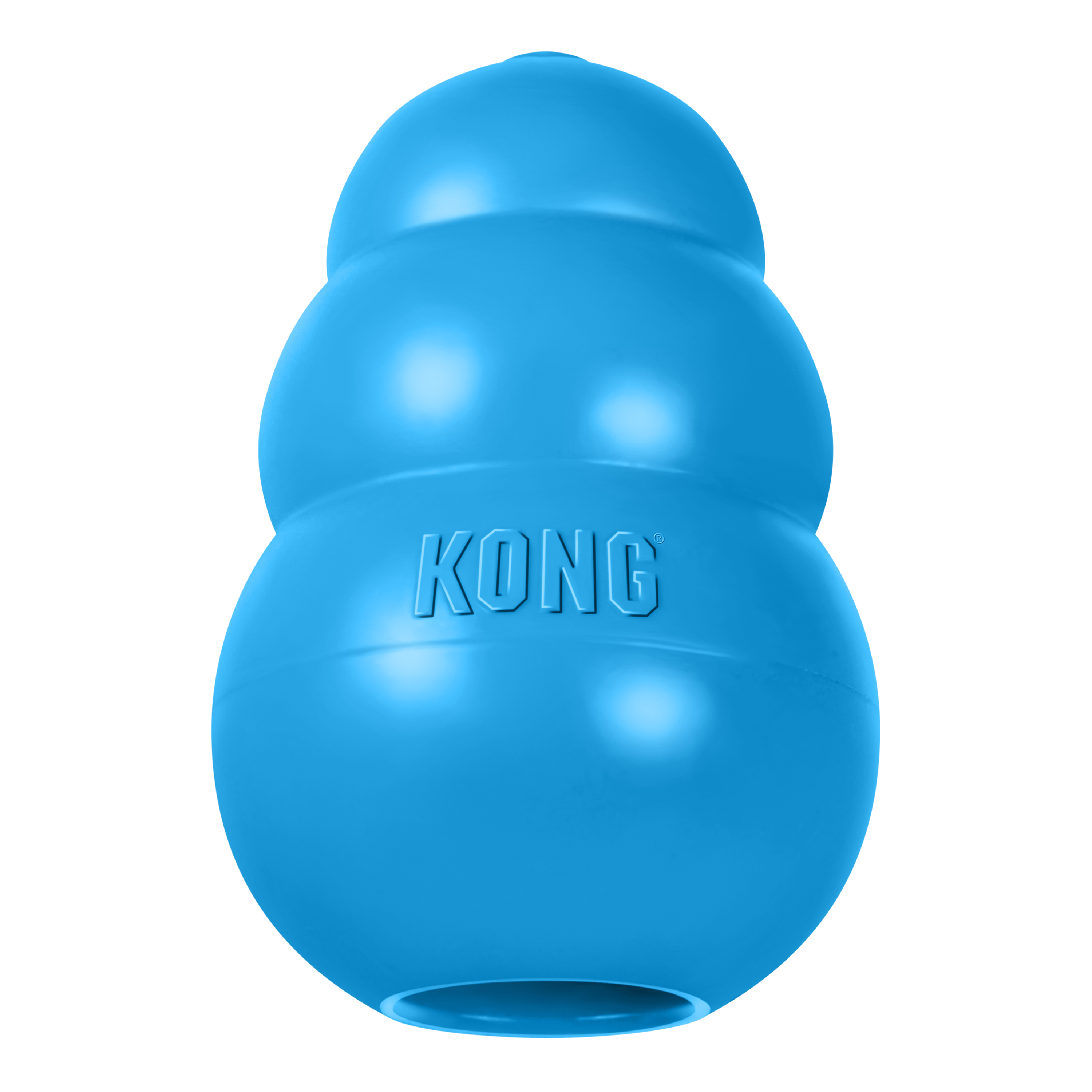 KONG Puppy