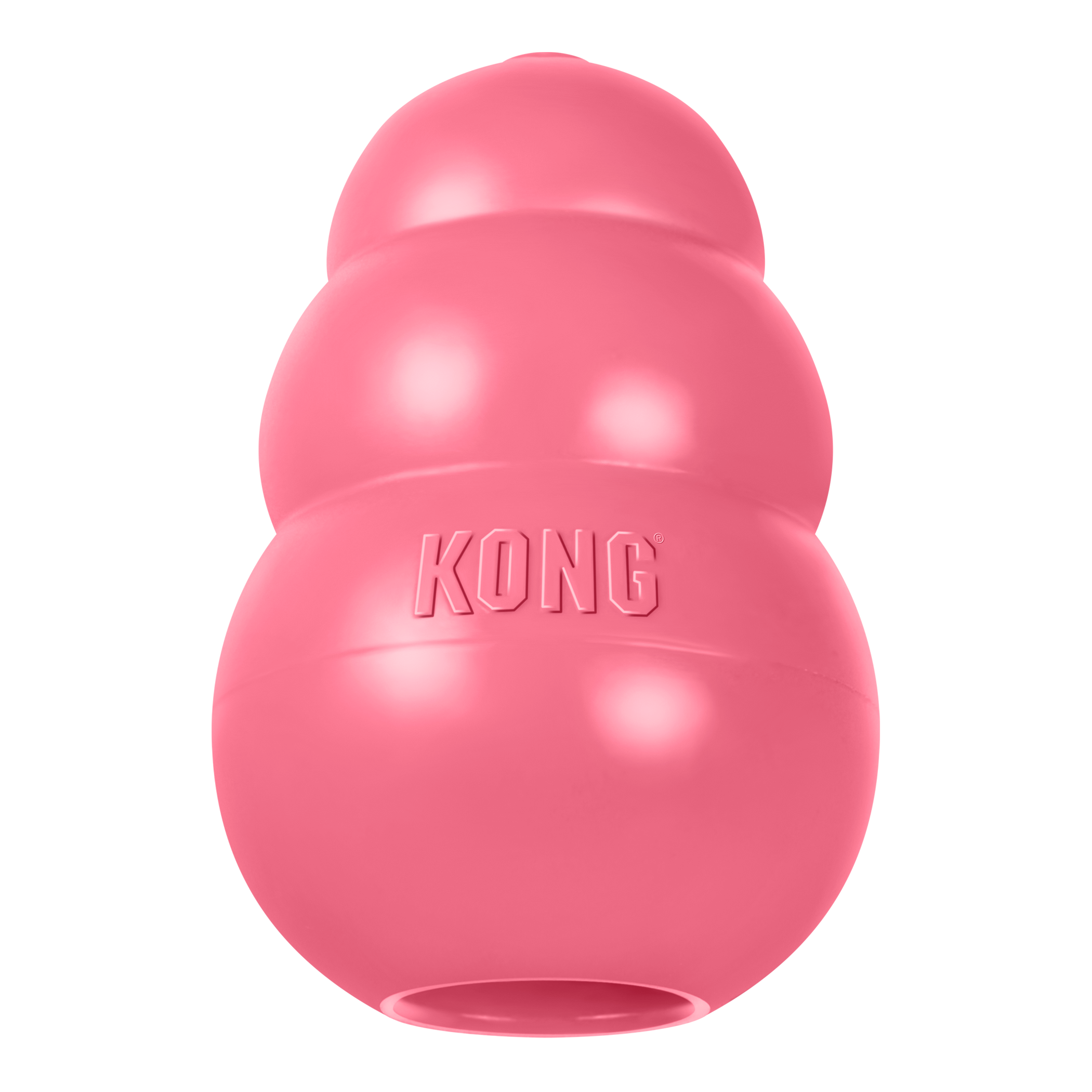 KONG Puppy