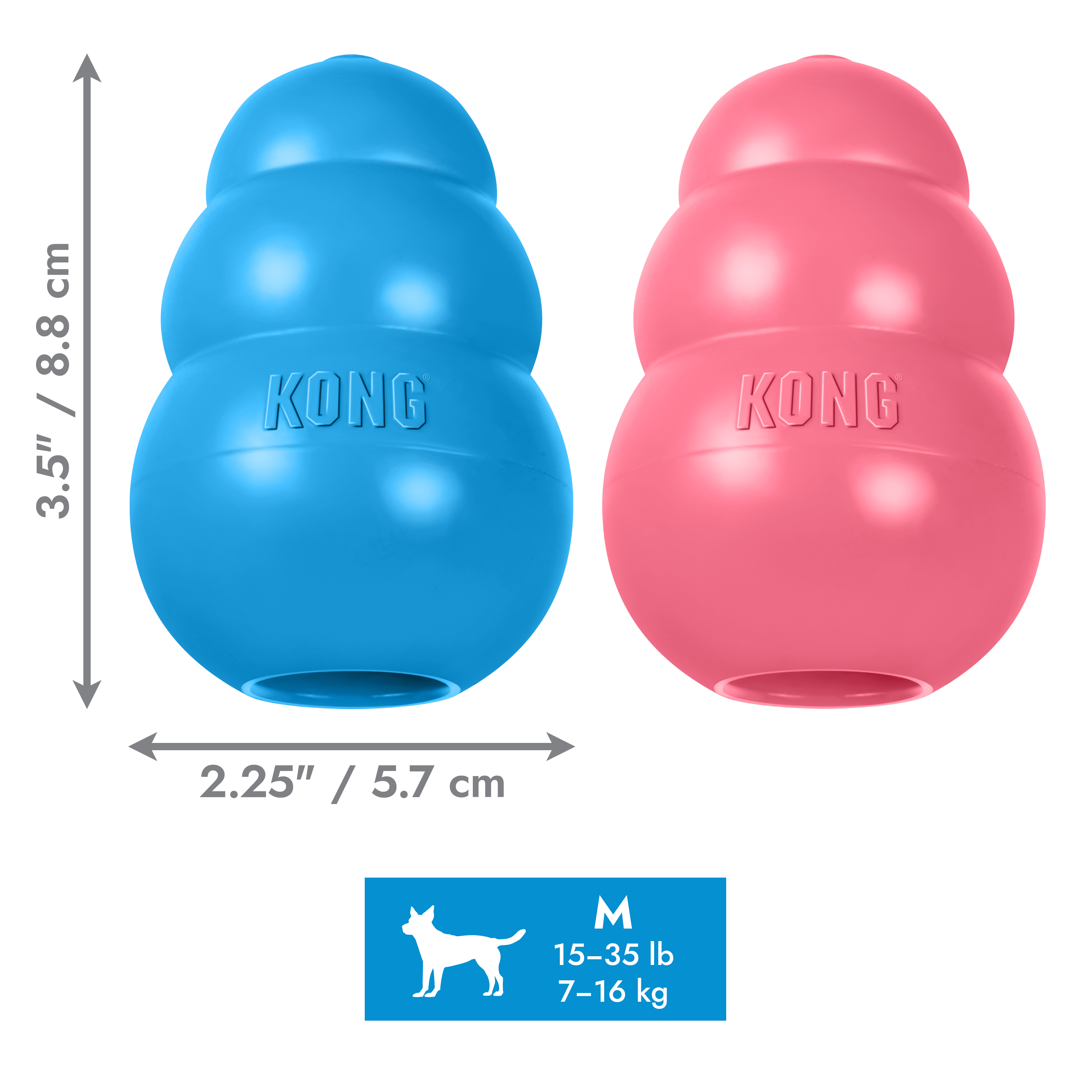 KONG Puppy
