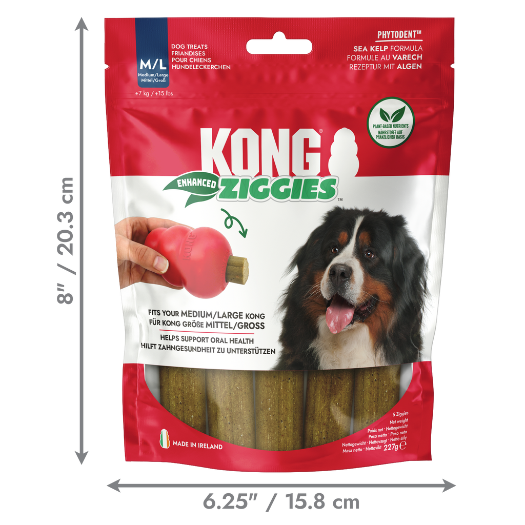 KONG ziggies