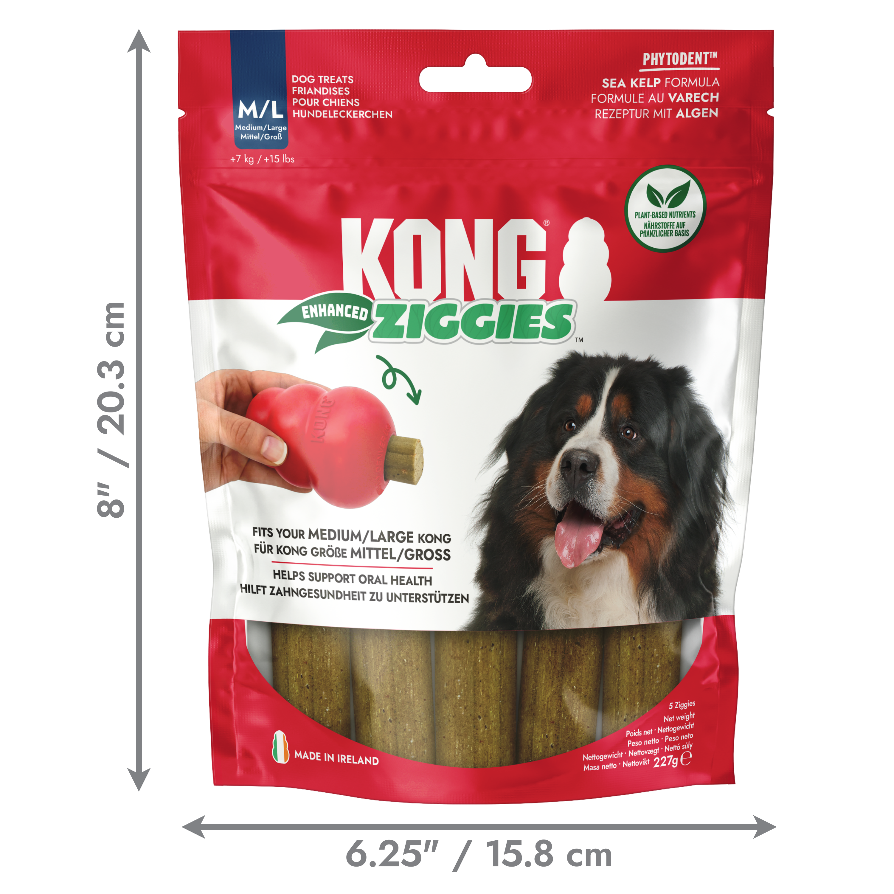 KONG ziggies
