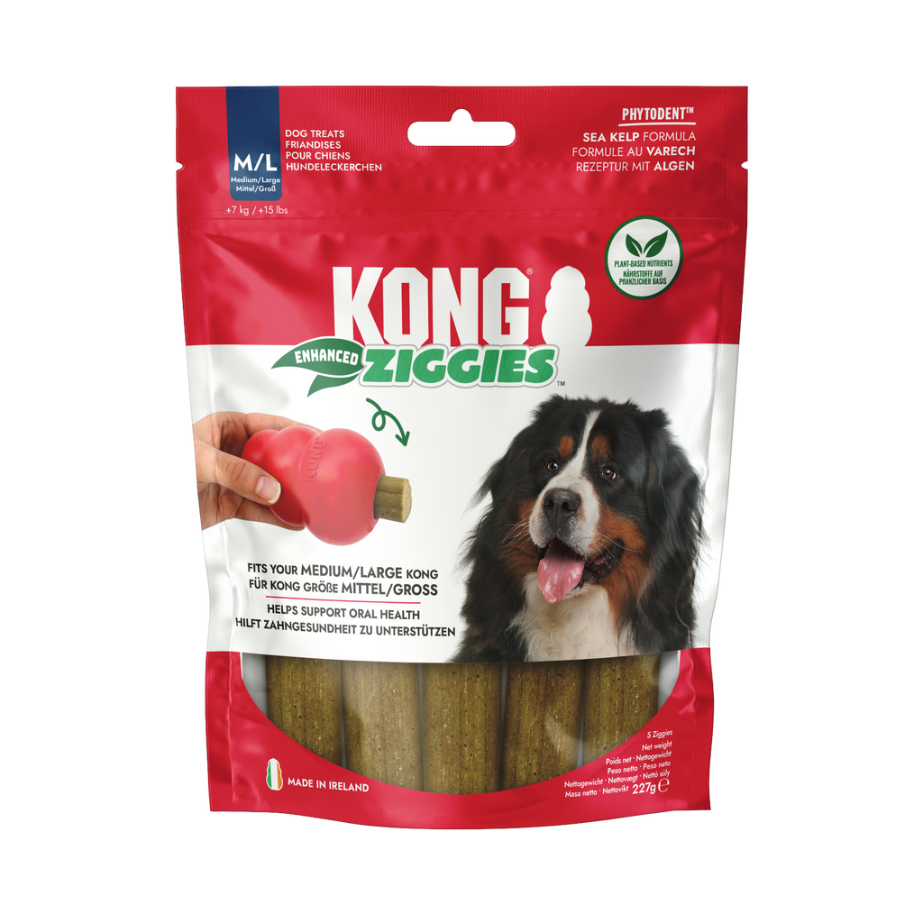KONG ziggies