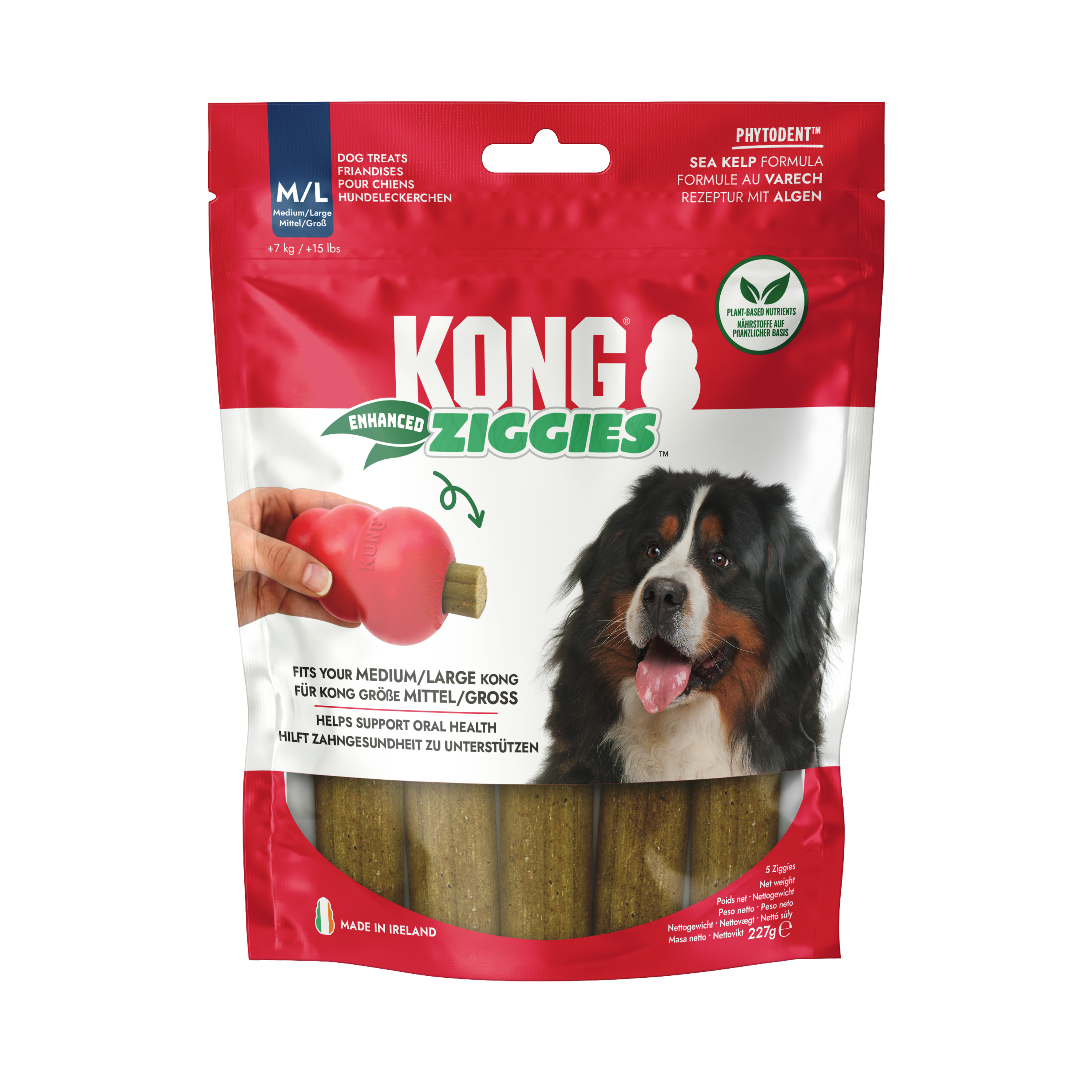 KONG ziggies