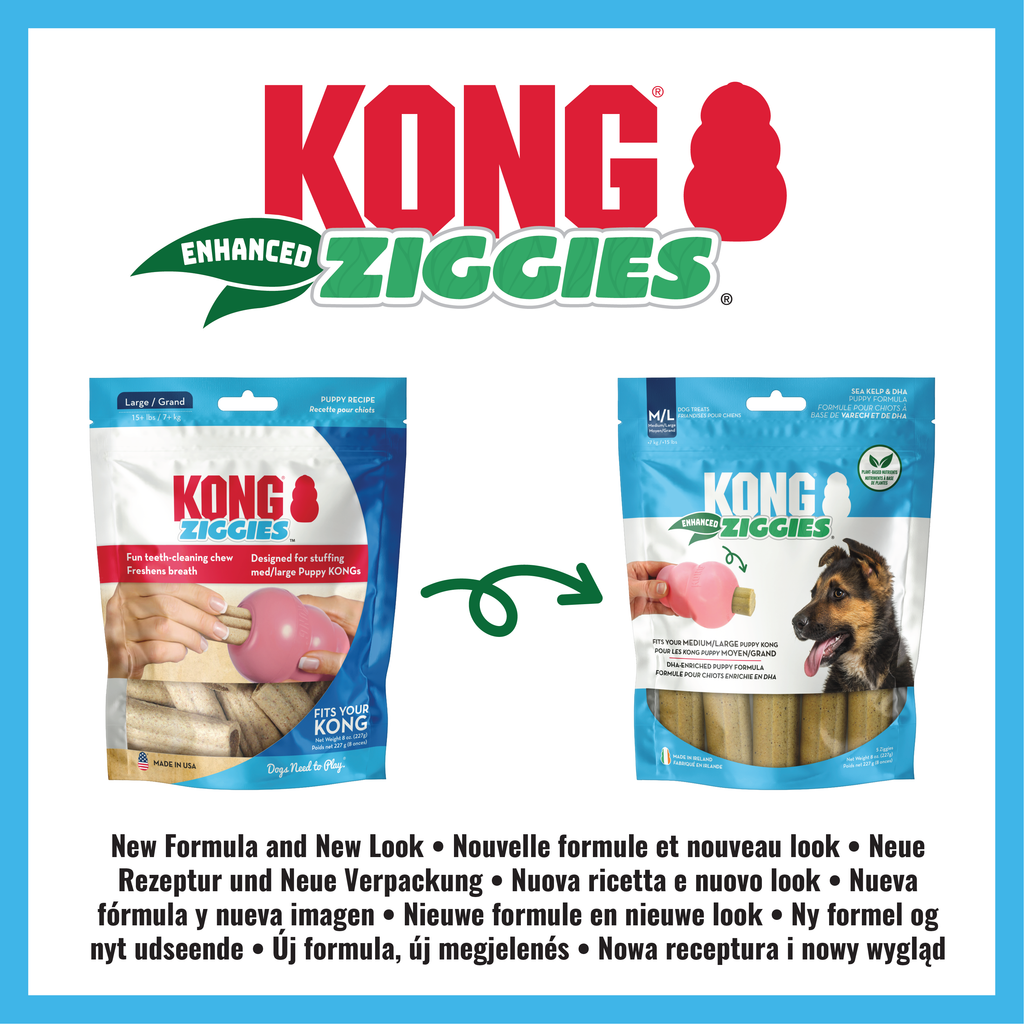 KONG ziggies puppy