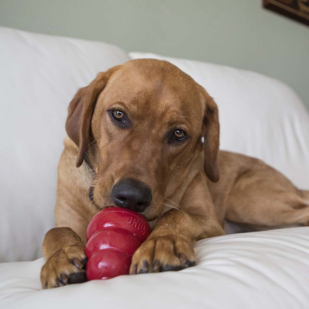 KONG easy treat pindakaas