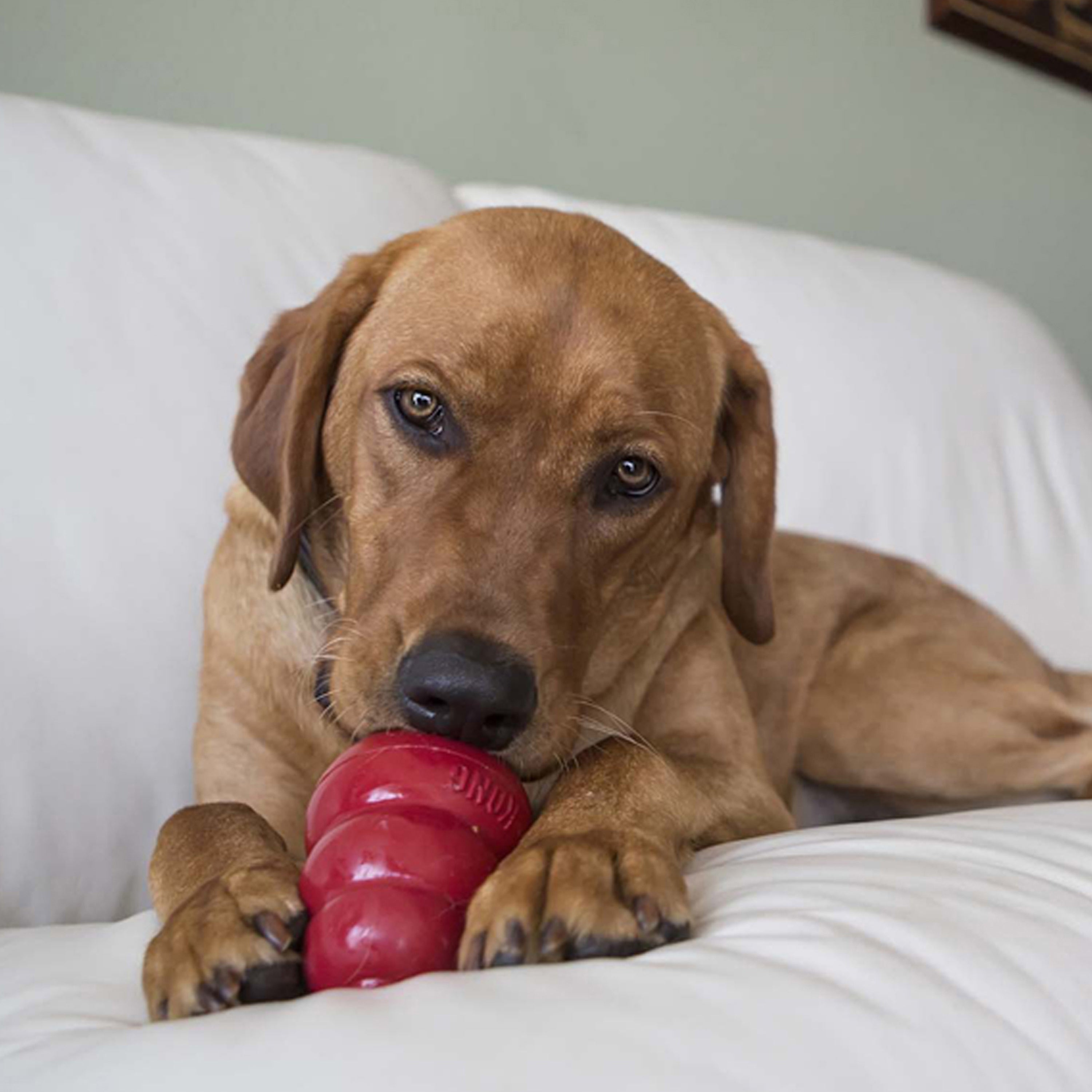 KONG easy treat pindakaas