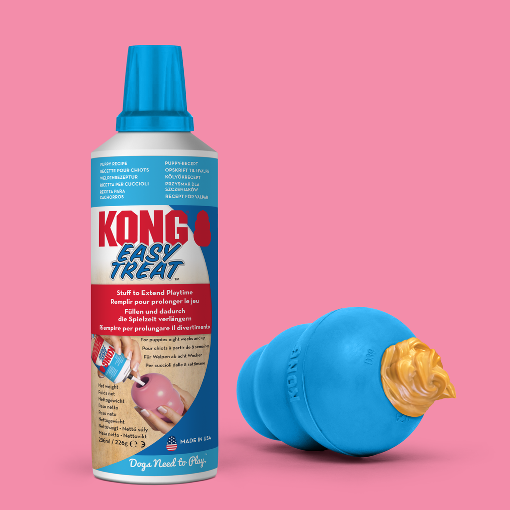 KONG easy treat puppy