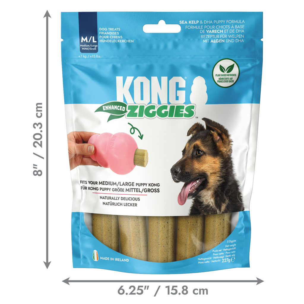 KONG ziggies puppy