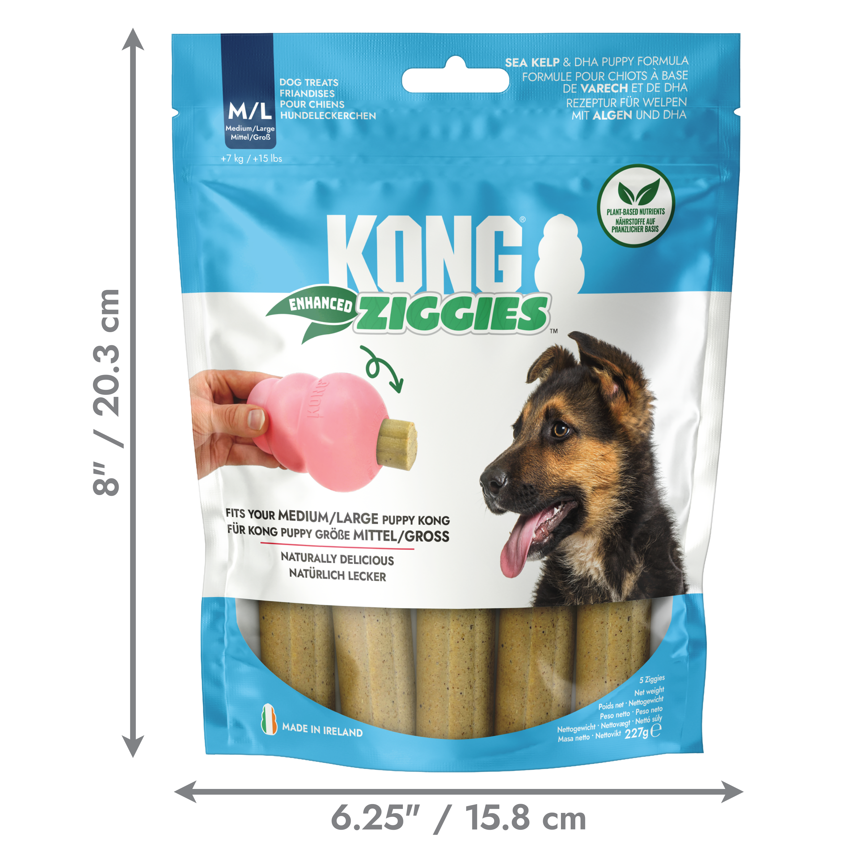 KONG ziggies puppy