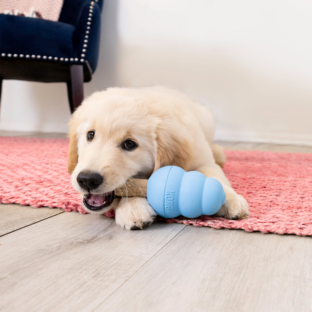 KONG ziggies puppy