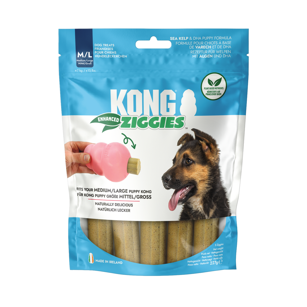 KONG ziggies puppy