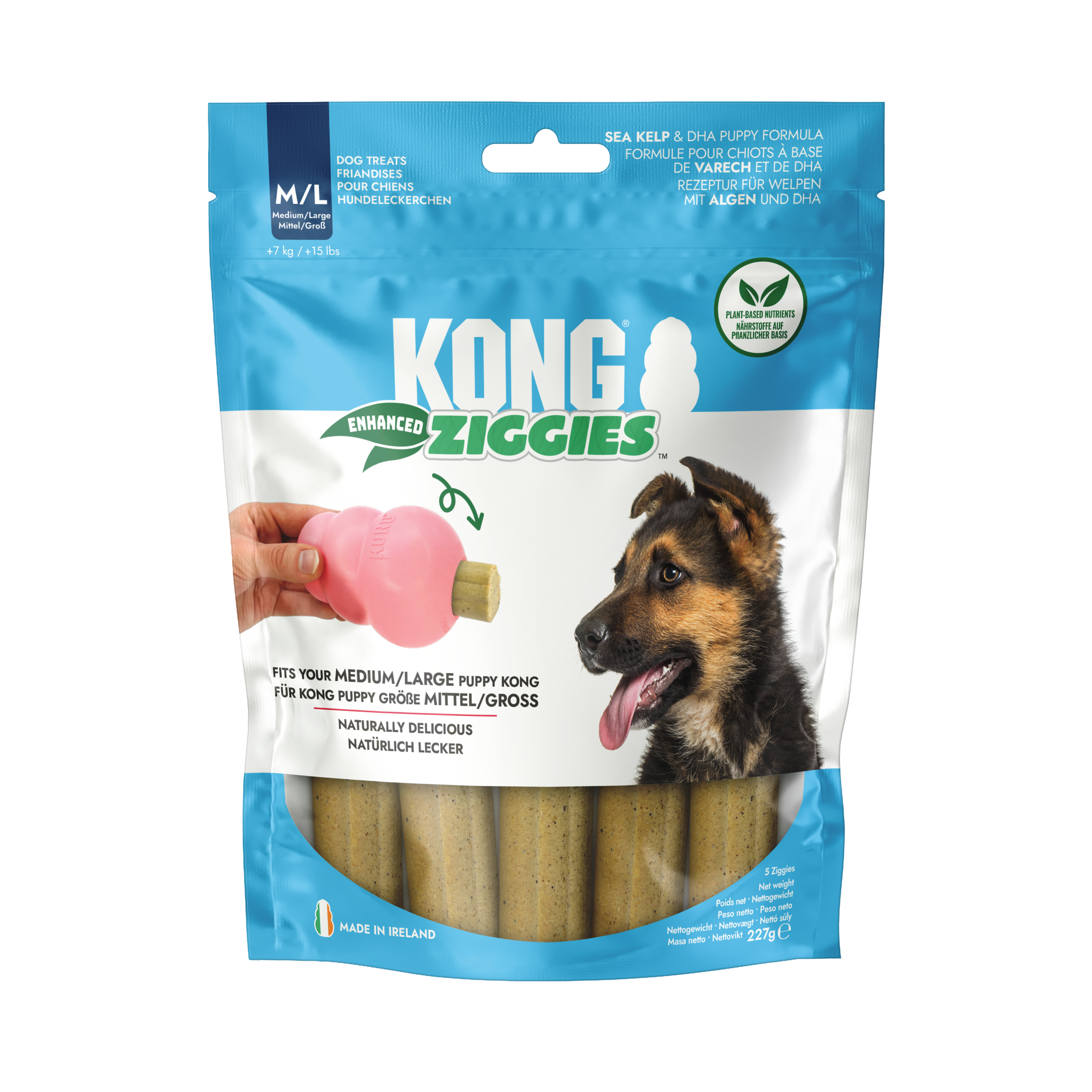 KONG ziggies puppy
